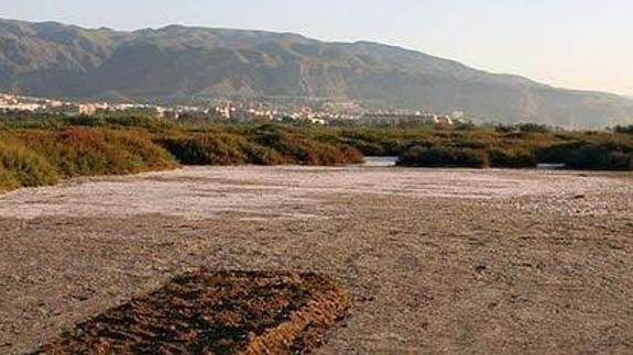 Ecologistas alertan de que el nuevo deslinde de la Ribera de la Algaida podría hacer "desaparecer" el espacio