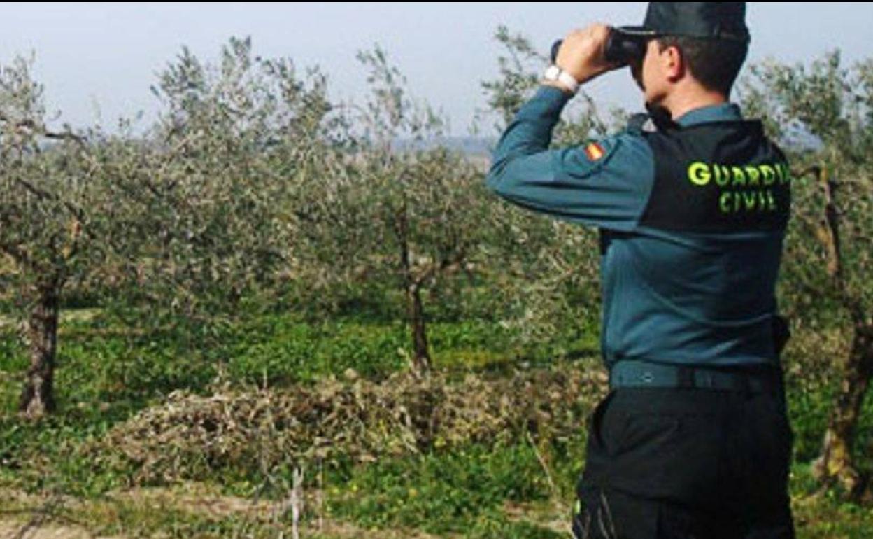 La Guardia Civil estableció un dispositivo de vigilancia.