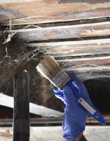 Imagen secundaria 2 - Diferentes momentos de la intervención.