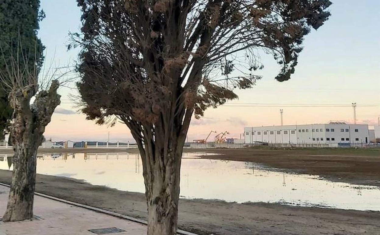 El PP denunció el «desastroso acabado» de las obras en el Camino del Cementerio