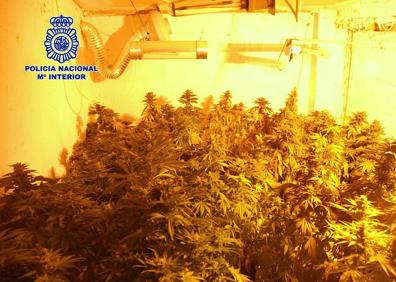 Imagen secundaria 1 - Imágenes de la operación 'Avec'.