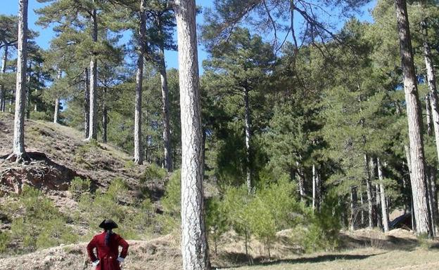 Imagen principal - Pinares de la Sierra de Segura y portada del libro.