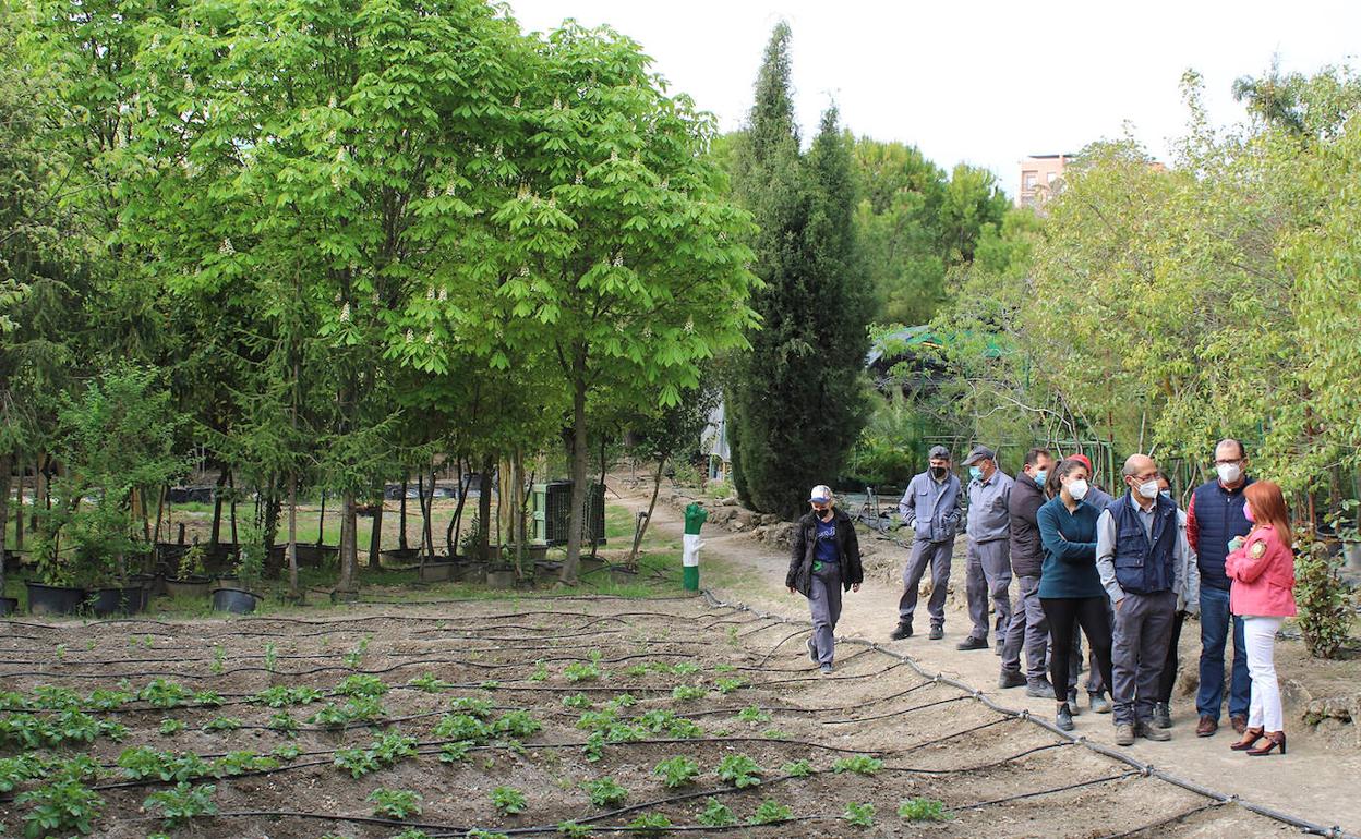Dieciséis personas participan en el taller de mantenedor de jardines y espacios verdes