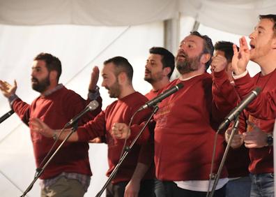 Imagen secundaria 1 - Foto de familia de los reconocimientos y dos agrupaciones de las que actuaron.