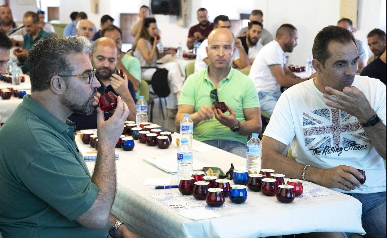 Clausurado el curso de obtención de aceites de oliva con dos jornadas presenciales de análisis sensorial