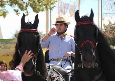 Imagen secundaria 1 - Atracciones, un coche de caballos en el ferial y trabajo en una cocina.