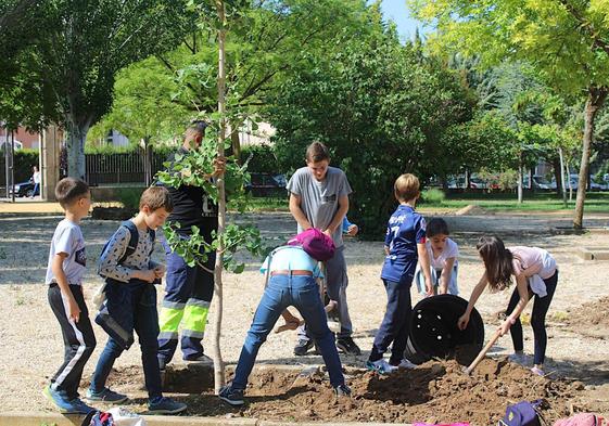 Plantación de árboles en el Parque Norte.