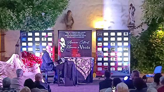El piano flamenco de Joaquín Pareja-Obregón sonó en el Palacio Anguís de Medinilla