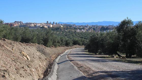 Úbeda y Baeza, unidas también por la 'Senda de Antonio Machado'