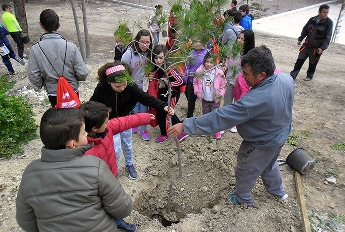 Actividades de reforestación y talleres con motivo del Día del Árbol