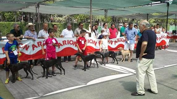 Un momento del campeonato.