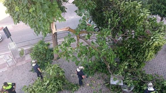 Los bomberos durante su intervención.