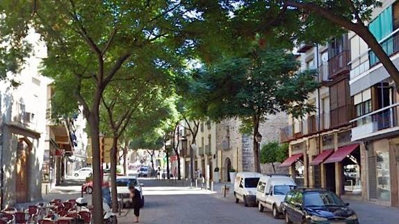 El domingo se cortará la calle Rastro y se prohibirá el estacionamiento para podar los árboles