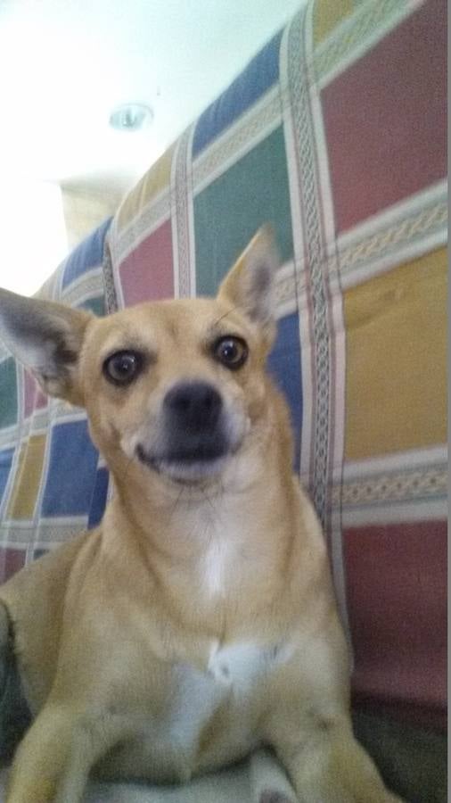 Selfies granaínos de verano