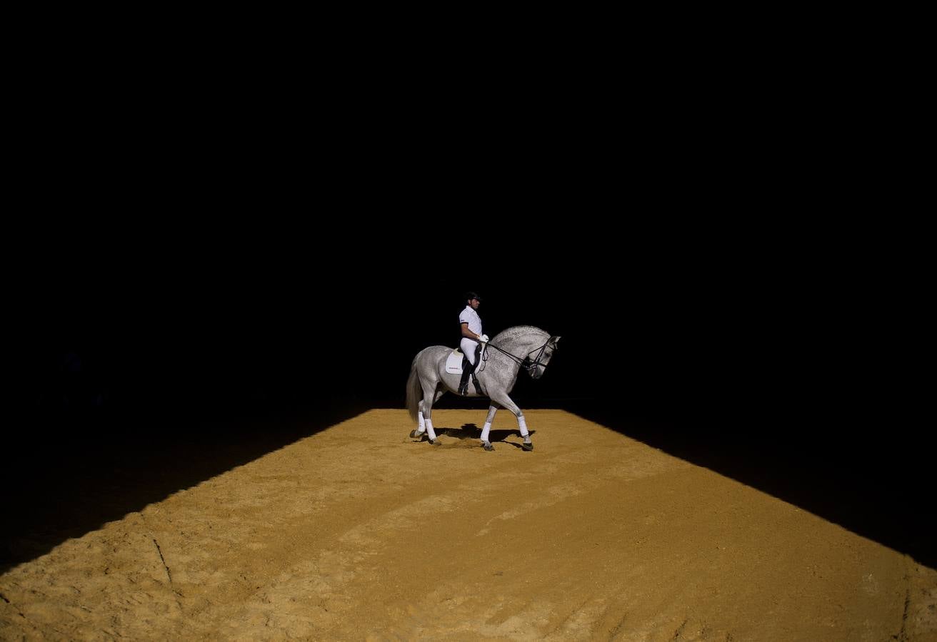 Un corredor entrena a su caballo en el espectáculo Sicab 2014 en Sevilla.