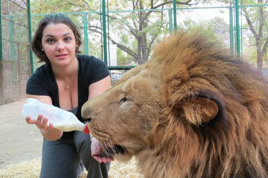 Quieren cerrar el zoo argentino donde puedes tocar a los animales