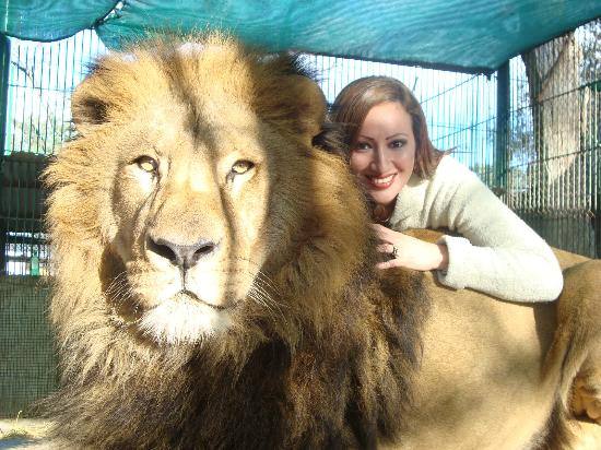 Quieren cerrar el zoo argentino donde puedes tocar a los animales