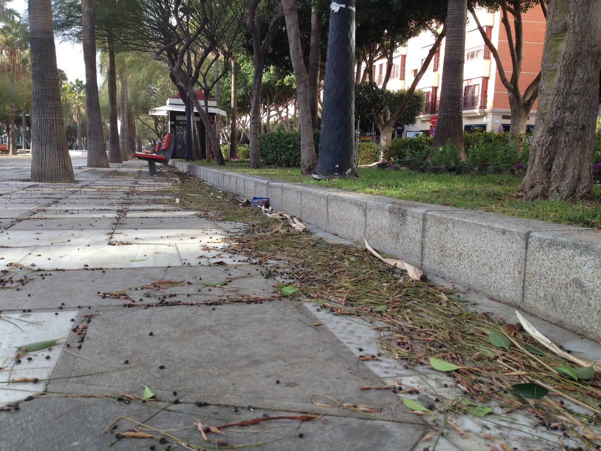 La fuerza del viento provoca cortes de luz y telefonía y caída de árboles y cableado