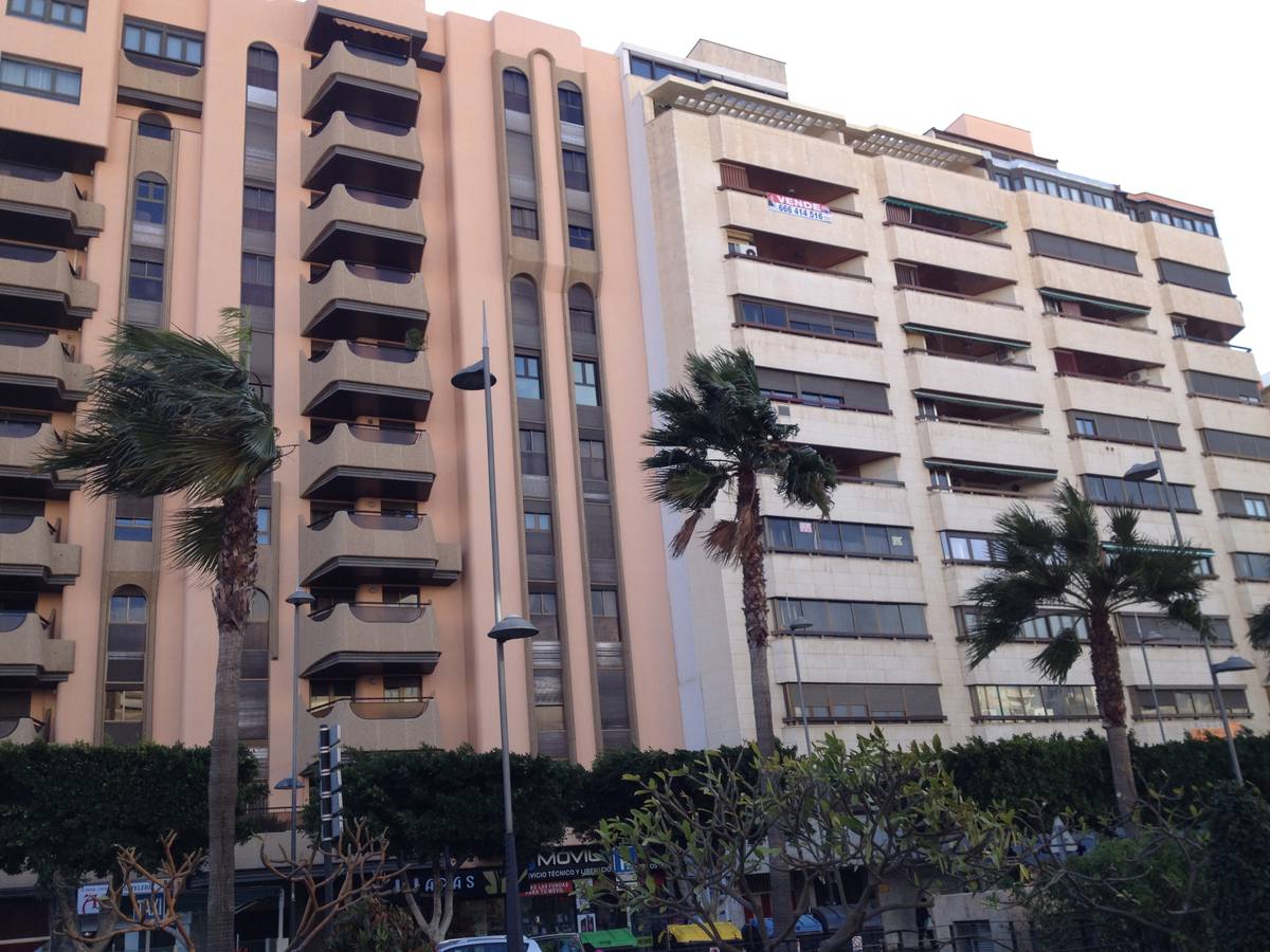 La fuerza del viento provoca cortes de luz y telefonía y caída de árboles y cableado