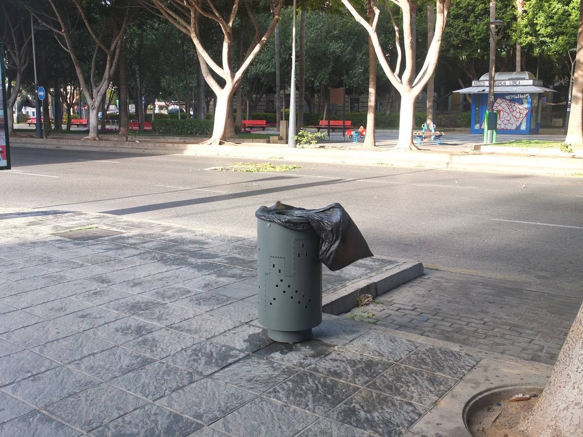 La fuerza del viento provoca cortes de luz y telefonía y caída de árboles y cableado