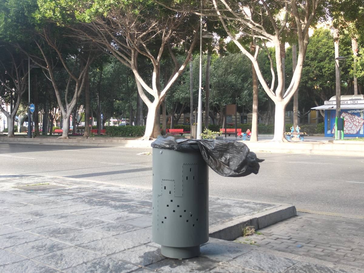 La fuerza del viento provoca cortes de luz y telefonía y caída de árboles y cableado