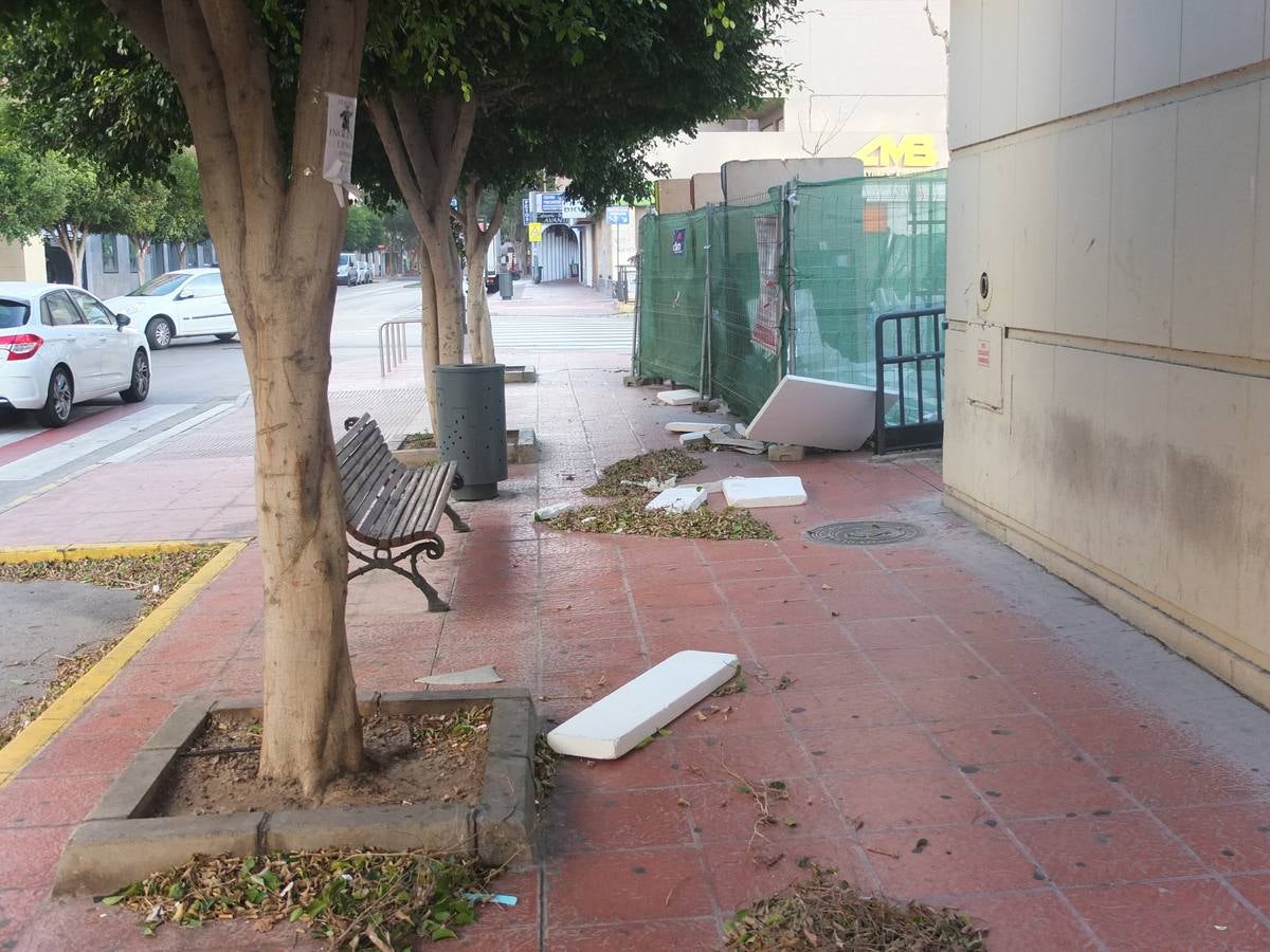 La fuerza del viento provoca cortes de luz y telefonía y caída de árboles y cableado