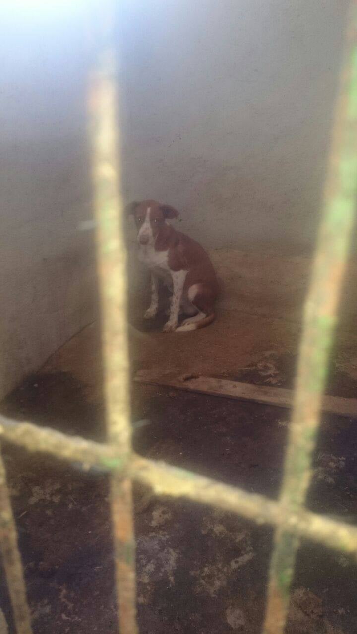 &quot;No tenían contacto con otra cosa que no fuera la soledad y la suciedad&quot;