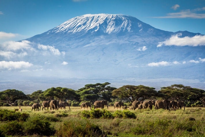 Cumbres del Kilimanjaro. 