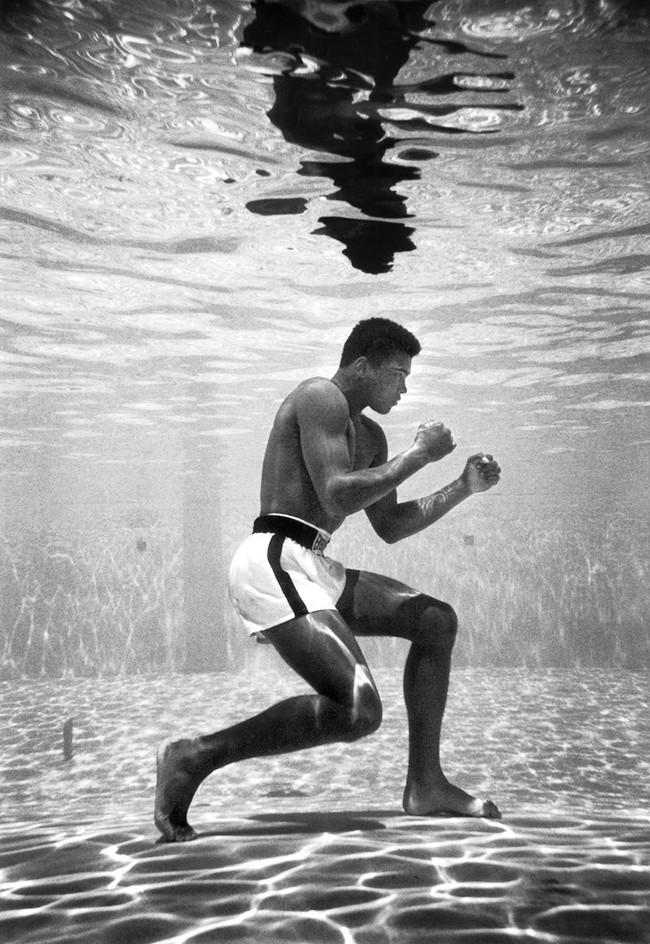 Muhammad Ali, que por aquel entonces todavía se llamaba Cassius Clay, entrenando en la piscina de Sir John Hotel en Miami (1961). 