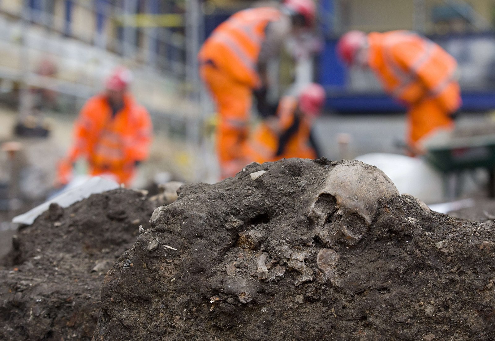 Un cráneo humano durante los trabajos de excavación en el cementerio Bedlam en Londres .
