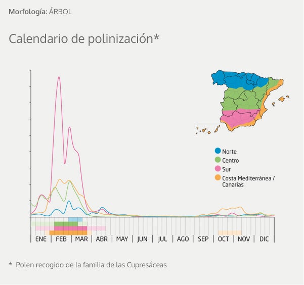 Alergia al polen: Calendario, mapa y zonas de polinización para olivo, gramíneas y otras plantas problemáticas