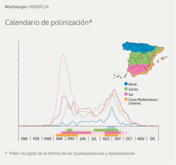 Alergia al polen: Calendario, mapa y zonas de polinización para olivo, gramíneas y otras plantas problemáticas