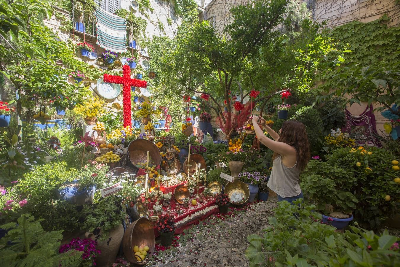 El &#039;crucero&#039; más grande por la ciudad