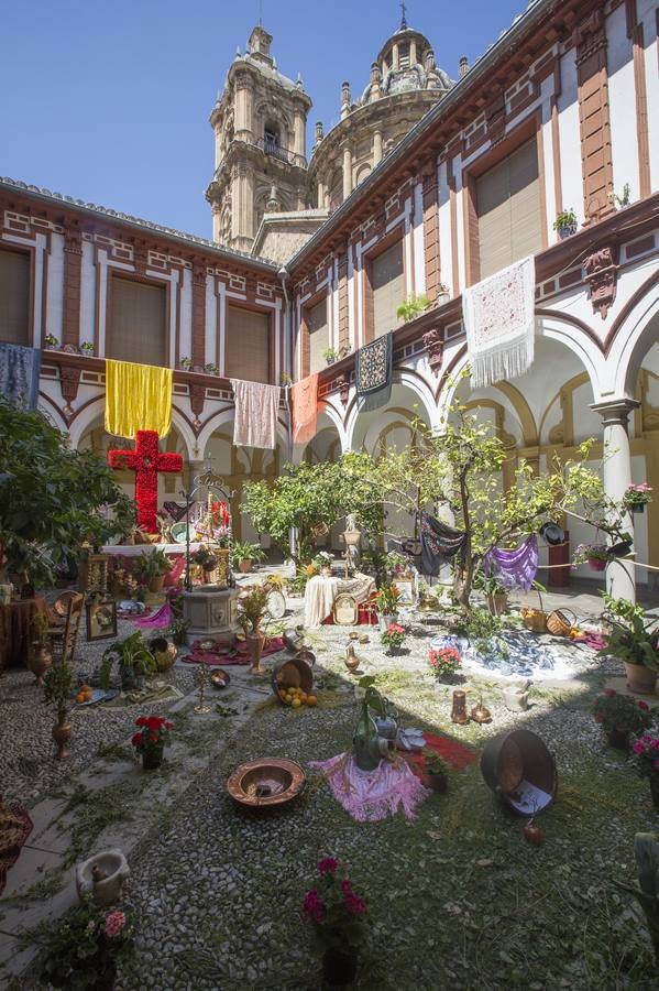 El &#039;crucero&#039; más grande por la ciudad