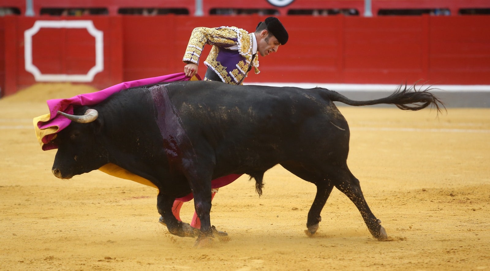 Triunfos de Morante y Talavante y Manzanares, que cae herido, en Granada