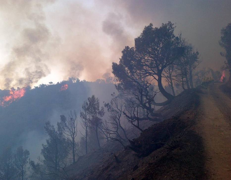 Alerta por un incendio forestal en Gualchos
