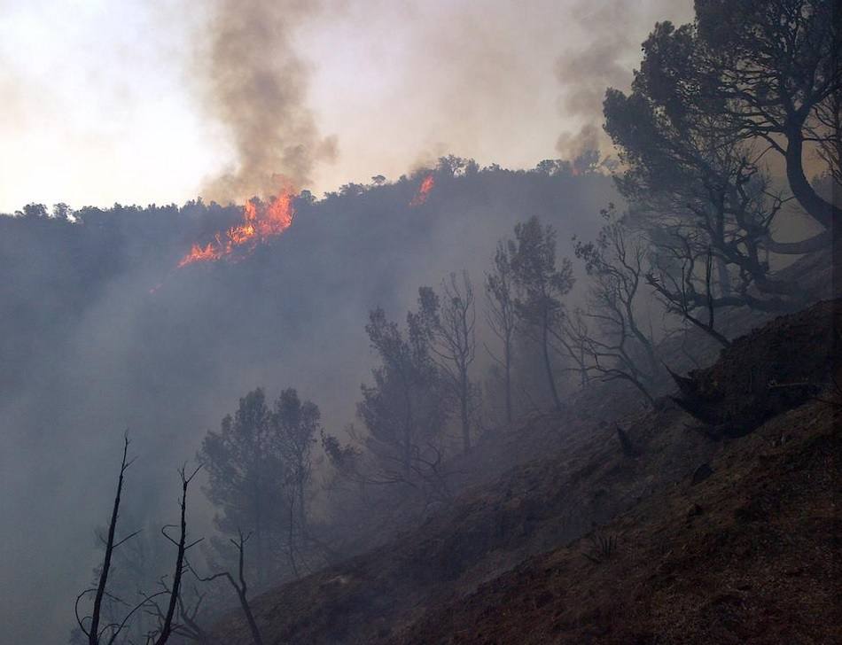 Alerta por un incendio forestal en Gualchos