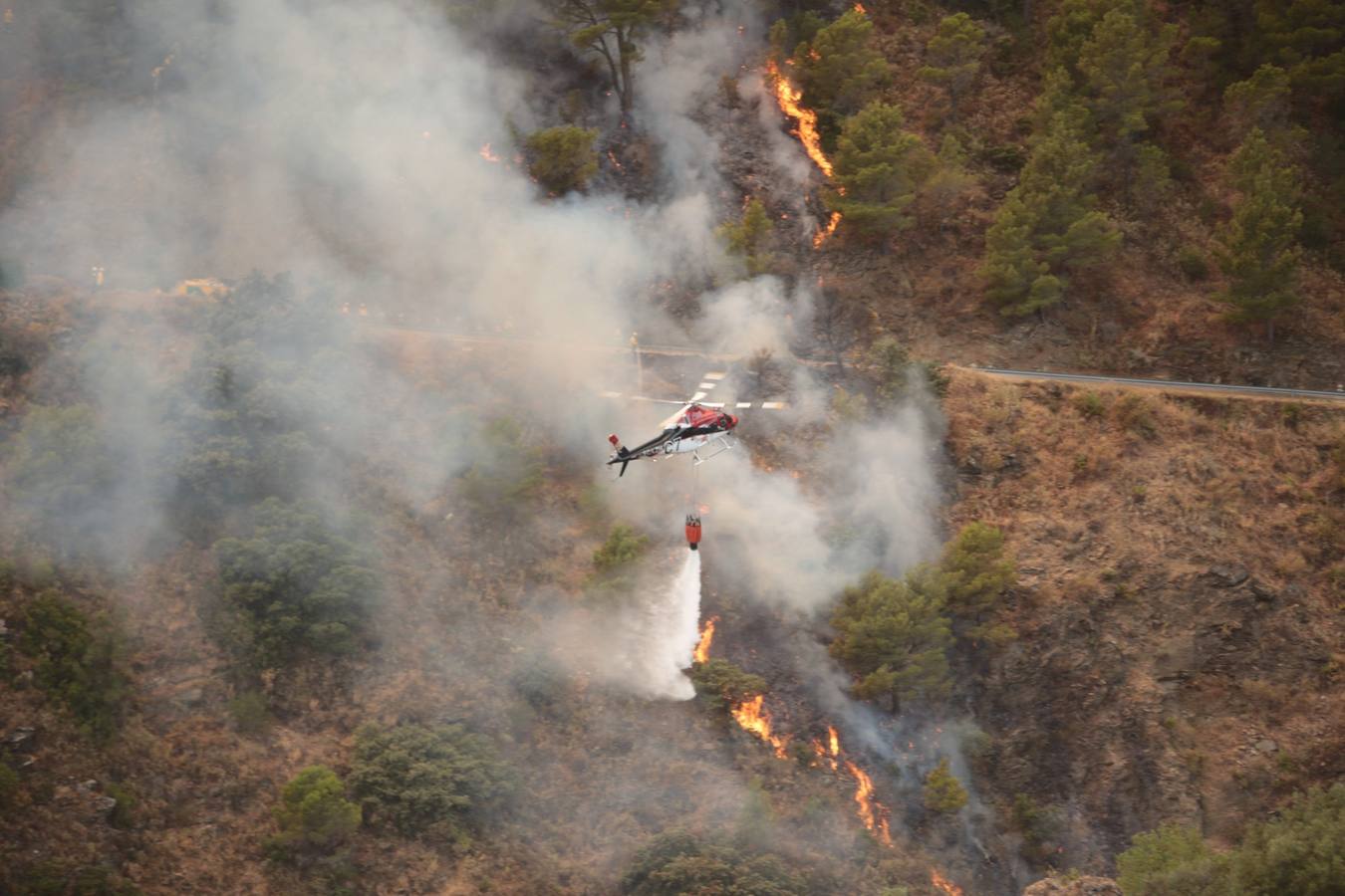 Alerta por un incendio forestal en Gualchos