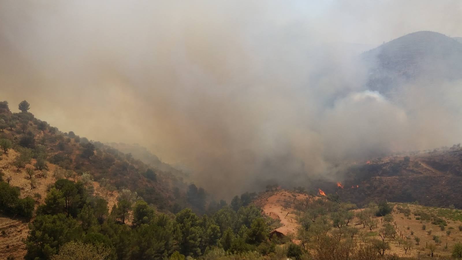 Alerta por un incendio forestal en Gualchos