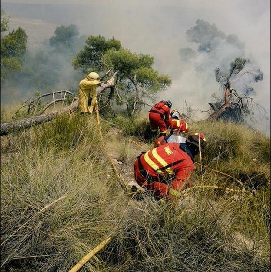 Efectivos de la UME y el INFOCA luchan contra el fuego en Quesada