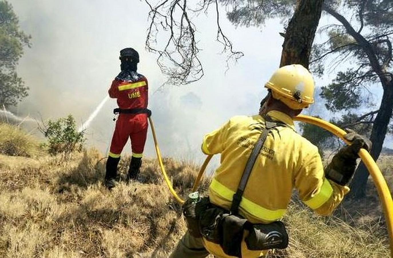 Efectivos de la UME y el INFOCA luchan contra el fuego en Quesada