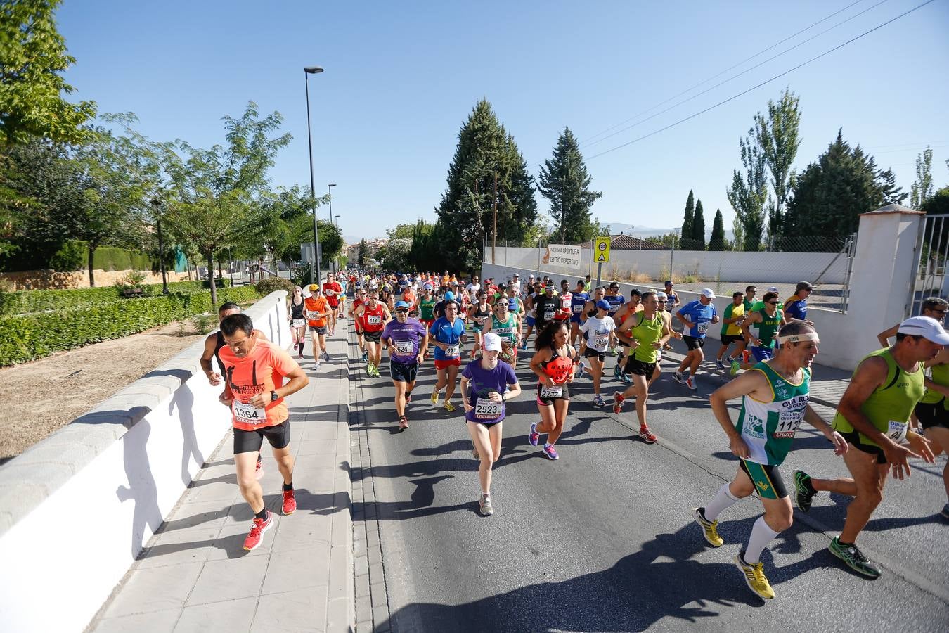 XXVIII Gran Premio de Fondo &#039;Río Dílar&#039;