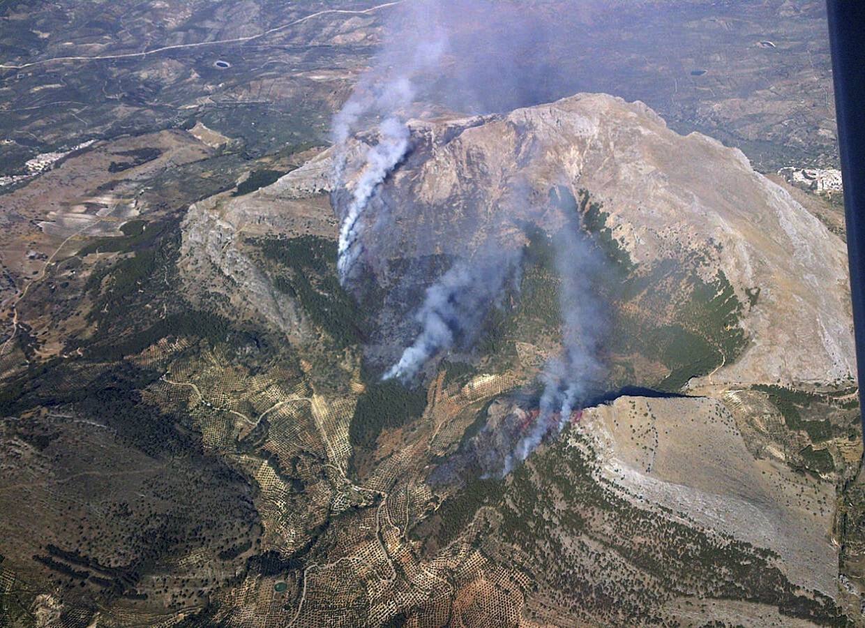 Un incendio con más de un foco calcina pinares y olivos en el monte Aznaitín