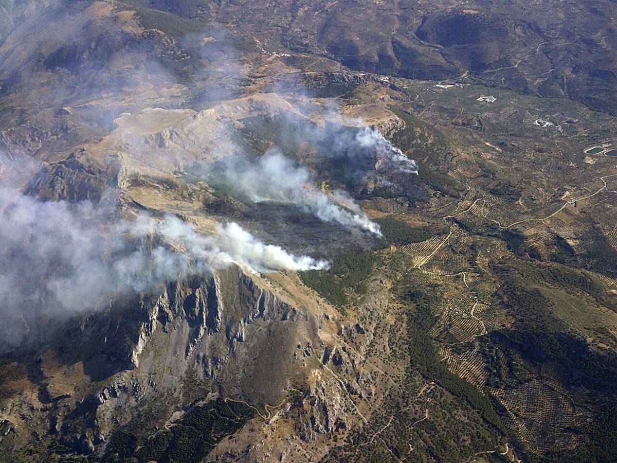 Un incendio con más de un foco calcina pinares y olivos en el monte Aznaitín