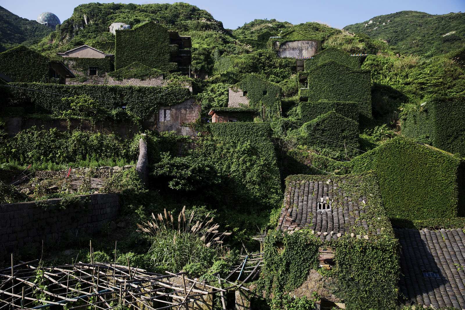 Las plantas crecen en casas en el pueblo pesquero abandonado de Houtouwan en la isla de Shengshan.