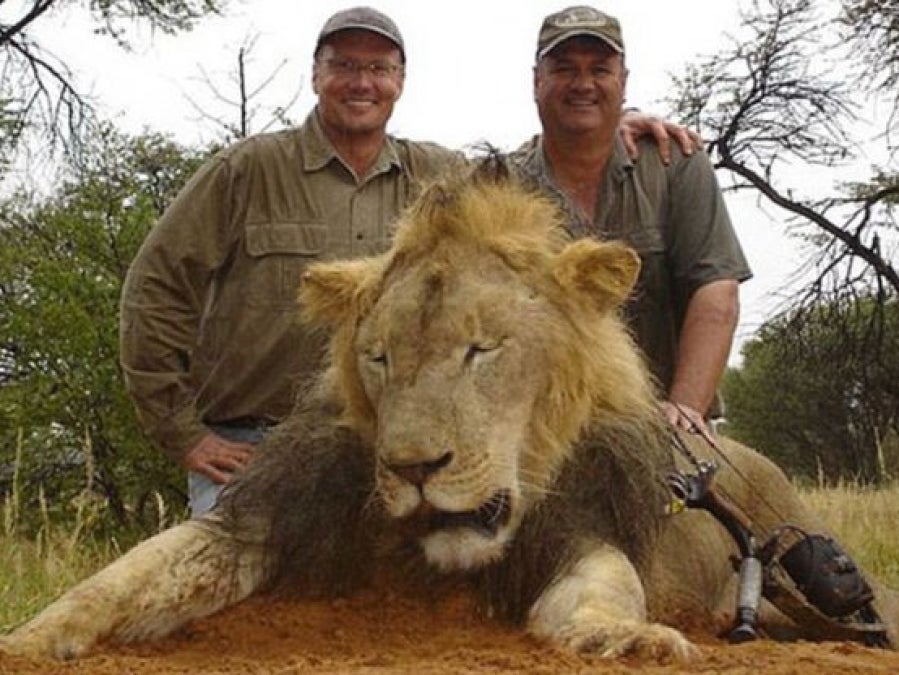 Los otros &#039;trofeos&#039; de Walter Palmer