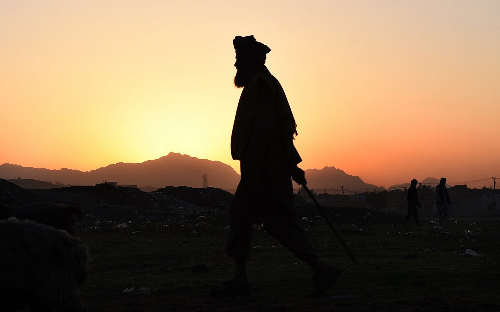 Pastores afganos con un rebaño de ovejas al amanecer en Kabul.