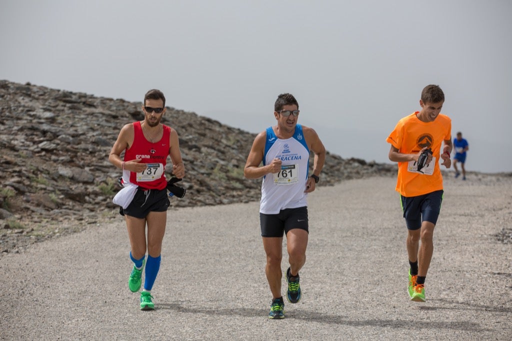 Subida al Veleta (II)