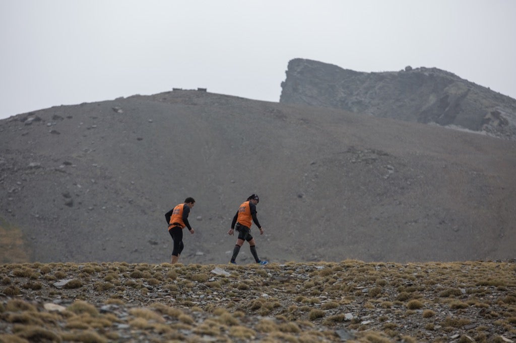 Subida al Veleta (VI)