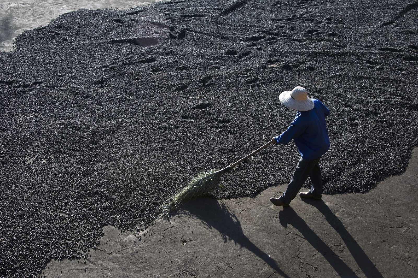 Un trabajador seca los granos de café orgánicos producidos en la Granja Ambiental Fortaleza en Mococa, unos 275 km al nordeste de Sao Paulo, Brasil.